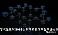 什么数字钱包绝对安全?全面分析数字钱包的安