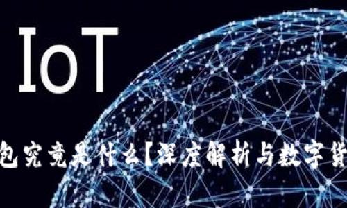 Gopay钱包究竟是什么?深度解析与数字货币的关系