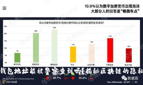 加密货币钱包地址能被警察查到吗?揭秘区块链的隐私与透明性