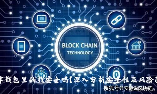 数字钱包里的钱安全吗？深入分析安全性及风险防范
