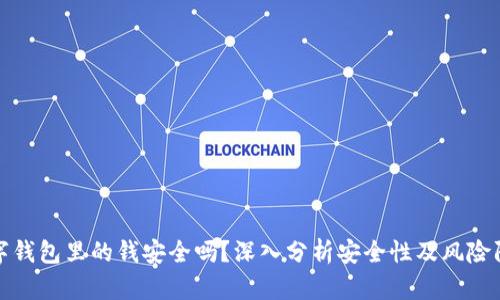数字钱包里的钱安全吗？深入分析安全性及风险防范