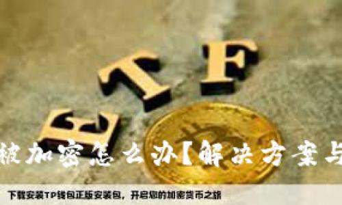 钱包私钥被加密怎么办?解决方案与预防措施