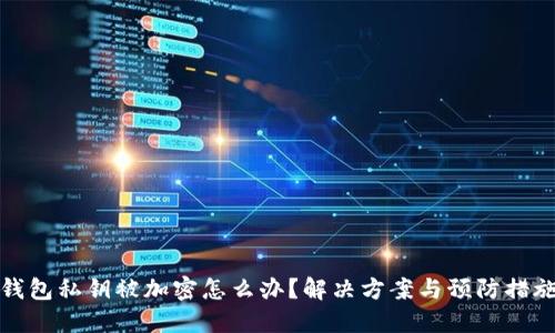 钱包私钥被加密怎么办?解决方案与预防措施