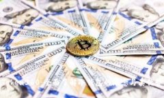 Token360：全面了解冷钱包的概念与其优势