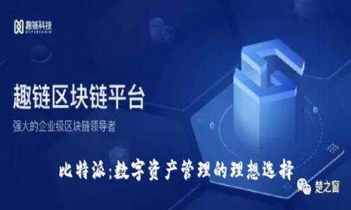 比特派：数字资产管理的理想选择