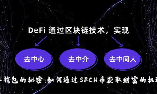 冷钱包的秘密:如何通过SFCH币获取财富的机遇
