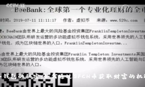 冷钱包的秘密:如何通过SFCH币获取财富的机遇