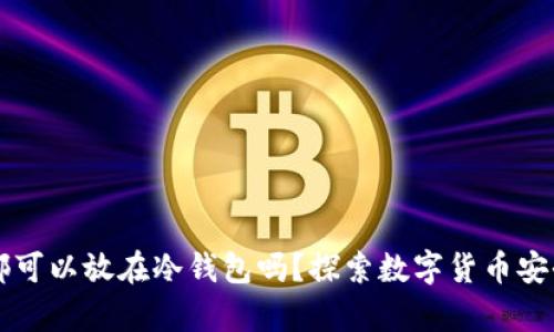 任何币都可以放在冷钱包吗?探索数字货币安全的真相