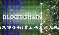 冷链钱包安全吗?背后的真相与风险解析