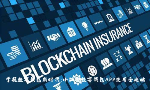 掌握数字钱包新时代:小狐狸数字钱包APP使用全攻略