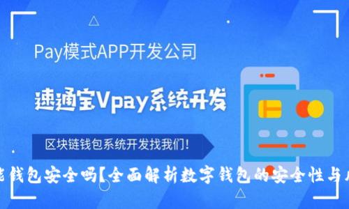 钱能钱包安全吗？全面解析数字钱包的安全性与风险