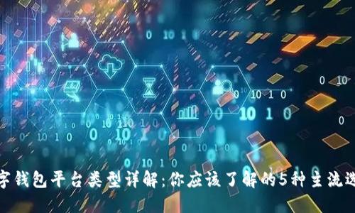 数字钱包平台类型详解：你应该了解的5种主流选择