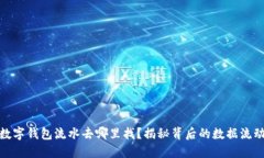数字钱包流水去哪里找？揭秘背后的数据流动