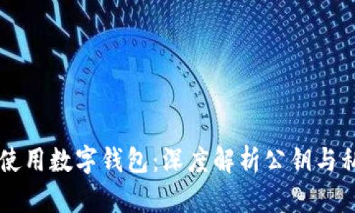 如何安全使用数字钱包：深度解析公钥与私钥的角色