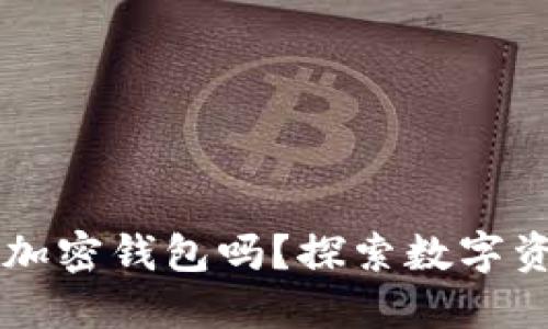 中国能用加密钱包吗？探索数字资产的未来