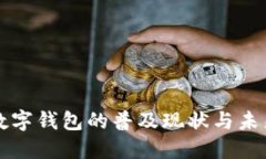 沈阳数字钱包的普及现状与未来展望