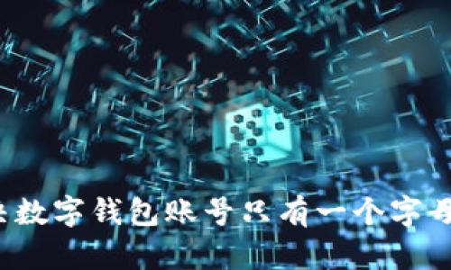 如何解决数字钱包账号只有一个字母的问题?