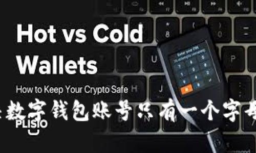 如何解决数字钱包账号只有一个字母的问题?