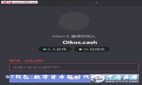 BT钱包：数字货币新时代的铠甲与盾牌