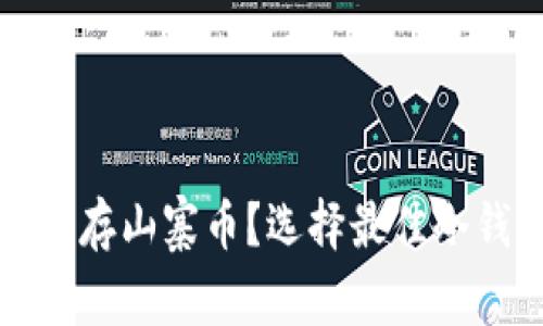 什么冷钱包可以存山寨币？选择最佳冷钱包的全面指南