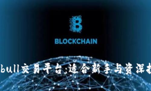 深入解析Bitbull交易平台：适合新手与资深投资者的选择