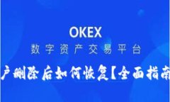 数字钱包账户删除后如何恢复？全面指南与实用