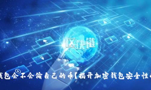 加密钱包会不会偷自己的币?揭开加密钱包安全性的真相