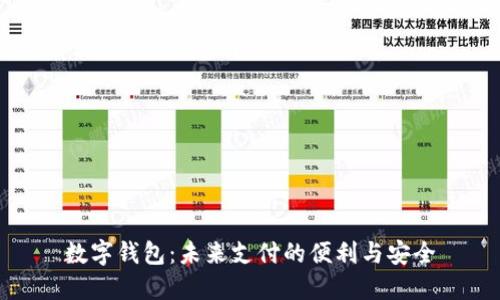 数字钱包：未来支付的便利与安全
