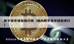 Bitdock下载与安装教程：一步步教你轻松上手