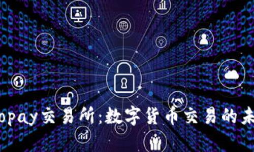  揭秘Topay交易所：数字货币交易的未来之路