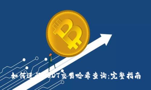 如何进行USDT交易哈希查询：完整指南