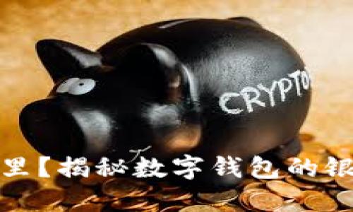 你的数字钱包在哪里?揭秘数字钱包的银行编号及其重要性
