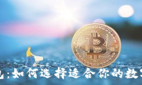 冷钱包与热钱包:如何选择适合你的数字货币存储方式