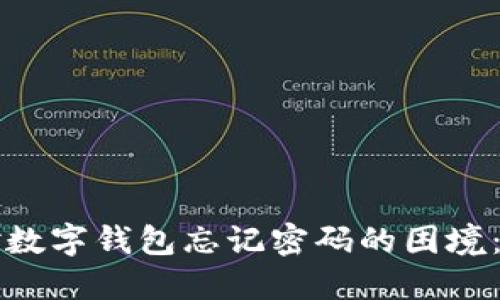 如何应对数字钱包忘记密码的困境：完整指南