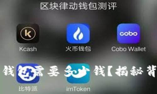 开发一款数字钱包需要多少钱？揭秘背后真实的成本