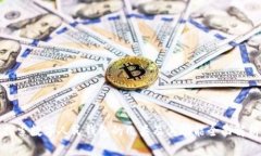 探索数字人民钱包的几类及其功能全面解析