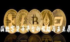 中国数字货币平台的崛起与未来展望