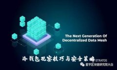 冷钱包观察技巧与安全策略