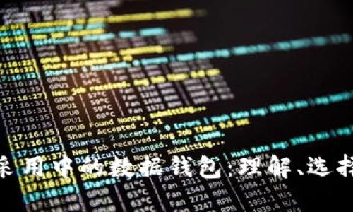 数字货币采用中的数据钱包：理解、选择与安全性