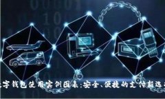 数字钱包使用实例图表：安全、便捷的支付新选