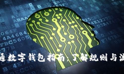 开通数字钱包指南：了解规则与流程