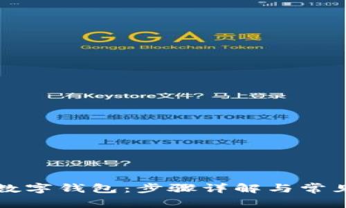 如何导入数字钱包：步骤详解与常见问题解析