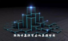 狗狗币暴涨背后的原因分析