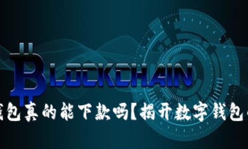 数字钱包真的能下款吗？揭开数字钱包的真相