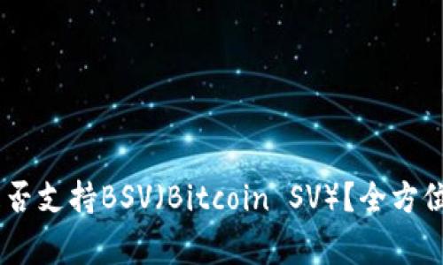 Ledger冷钱包是否支持BSV（Bitcoin SV）？全方位解析及使用指南