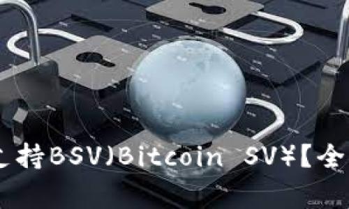 Ledger冷钱包是否支持BSV（Bitcoin SV）？全方位解析及使用指南
